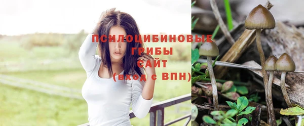 герыч Алзамай