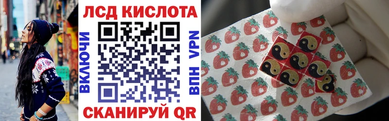 где продают   Приозерск  ссылка на мегу зеркало  Марки 25I-NBOMe 1500мкг 
